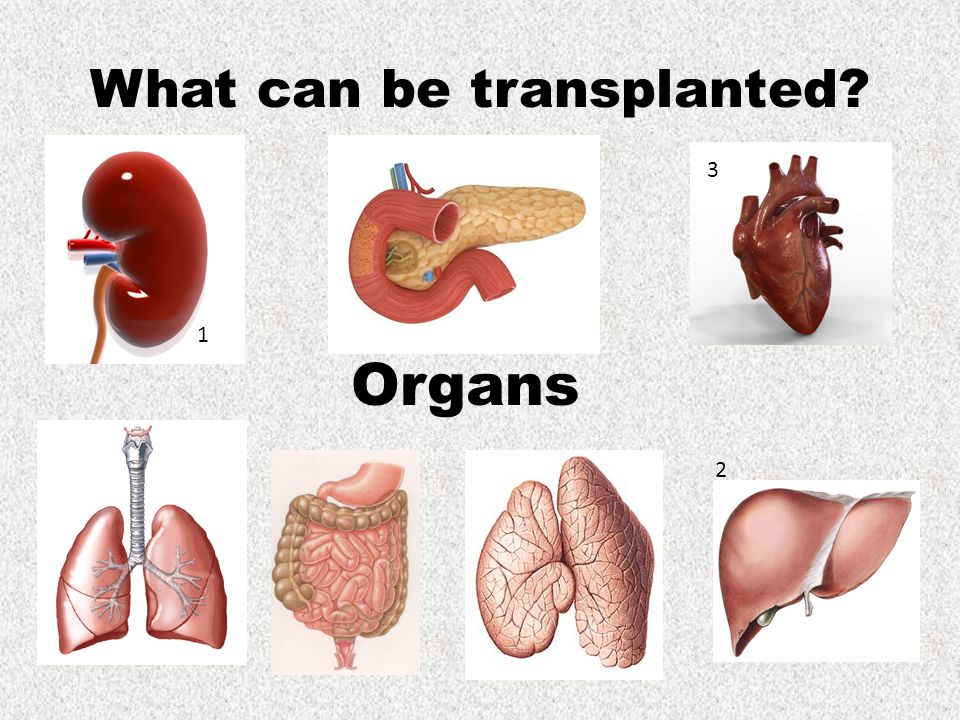Transposed Organs Roar বাংলা - মরণোত্তর অঙ্গদান: মহতী যে উদ্যোগ রক্ষা করতে পারে বহু জীবন